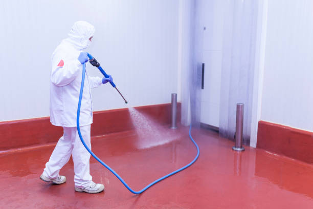 Best Warehouse Cleaning  in East Glenville, NY